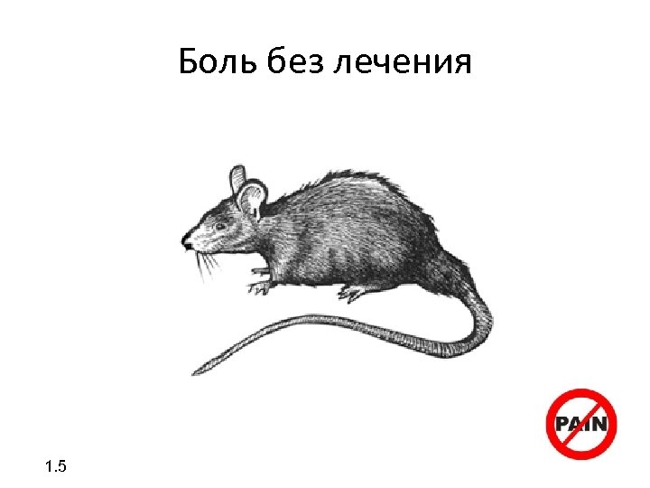 Боль без лечения 1. 5 