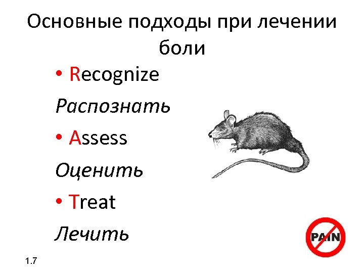 Основные подходы при лечении боли • Recognize Распознать • Assess Оценить • Treat Лечить