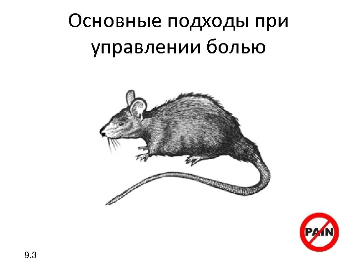 Основные подходы при управлении болью 9. 3 