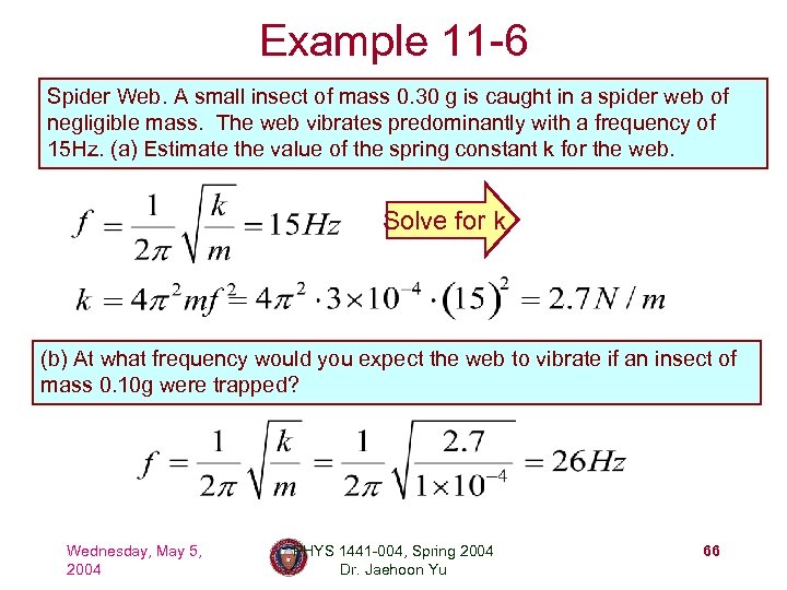 Example 11 -6 Spider Web. A small insect of mass 0. 30 g is