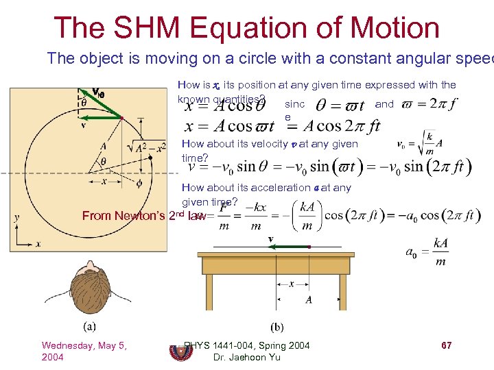 The SHM Equation of Motion The object is moving on a circle with a