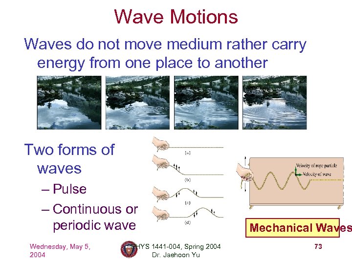 Wave Motions Waves do not move medium rather carry energy from one place to