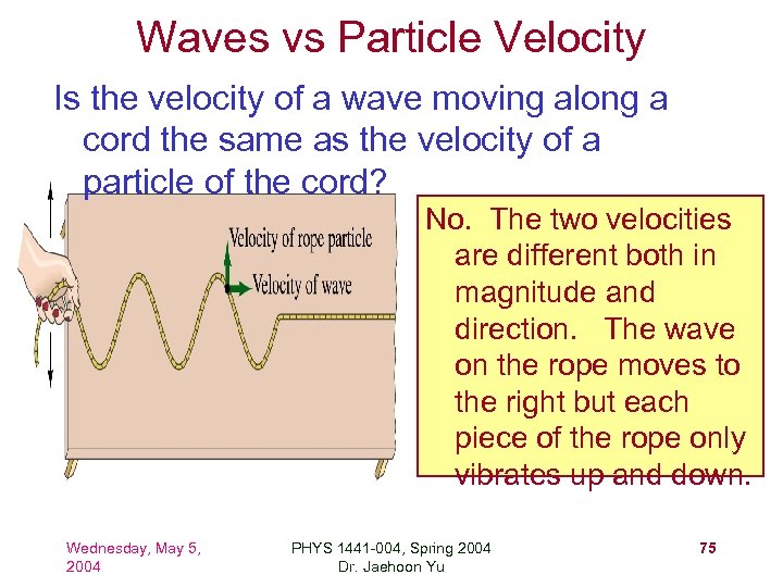 Waves vs Particle Velocity Is the velocity of a wave moving along a cord