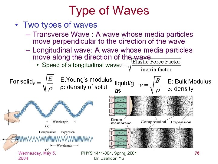 Type of Waves • Two types of waves – Transverse Wave : A wave