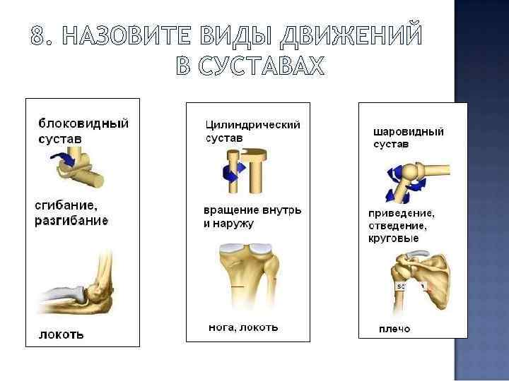 8. НАЗОВИТЕ ВИДЫ ДВИЖЕНИЙ В СУСТАВАХ 