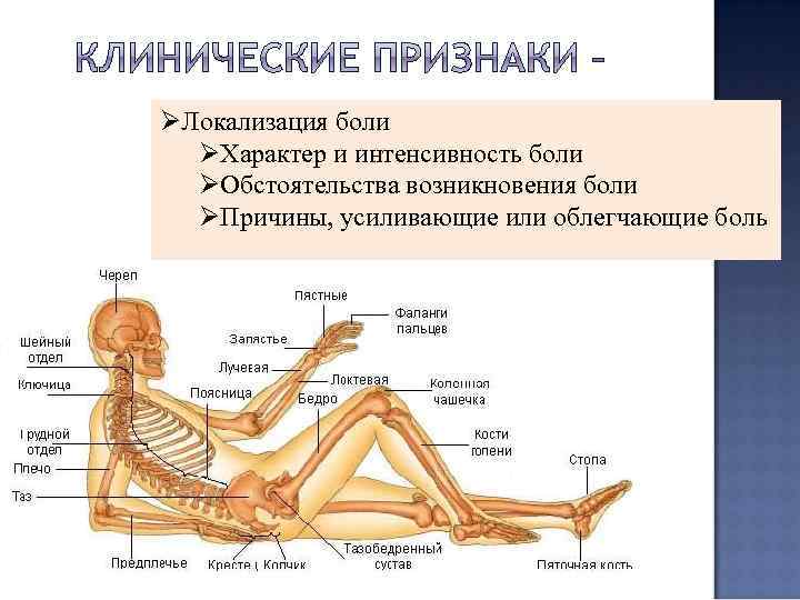 ØЛокализация боли ØХарактер и интенсивность боли ØОбстоятельства возникновения боли ØПричины, усиливающие или облегчающие боль