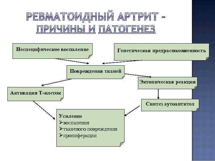 Неспецифическое воспаление Генетическая предрасположенность Повреждения тканей Эктопическая реакция Активация Т-клеток Синтез аутоантител Усиление Øвоспаления