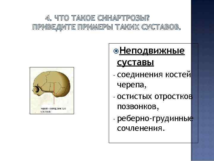 4. ЧТО ТАКОЕ СИНАРТРОЗЫ? ПРИВЕДИТЕ ПРИМЕРЫ ТАКИХ СУСТАВОВ. Неподвижные суставы - соединения костей черепа,