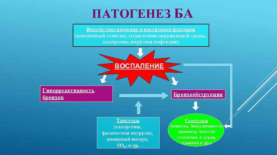 ПАТОГЕНЕЗ БА Воздействие внешних и внутренних факторов (измененный генотип, загрязнения окружающей среды, аллергены, вирусная