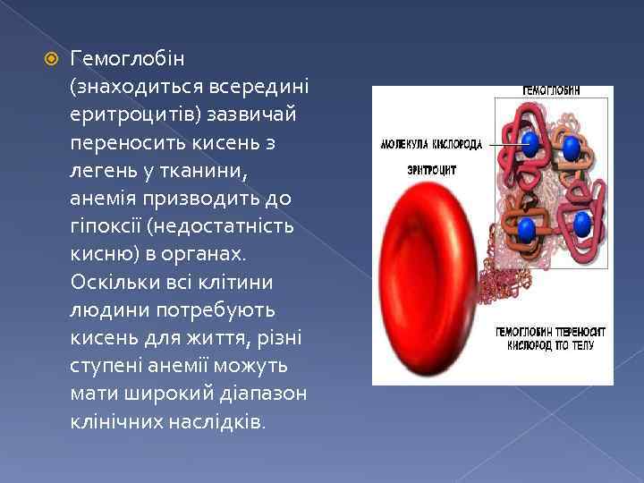  Гемоглобін (знаходиться всередині еритроцитів) зазвичай переносить кисень з легень у тканини, анемія призводить