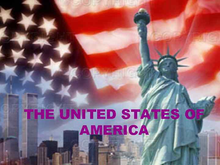 THE UNITED STATES OF AMERICA 