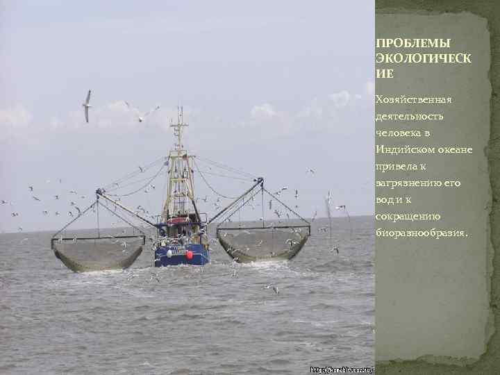 ПРОБЛЕМЫ ЭКОЛОГИЧЕСК ИЕ Хозяйственная деятельность человека в Индийском океане привела к загрязнению его вод