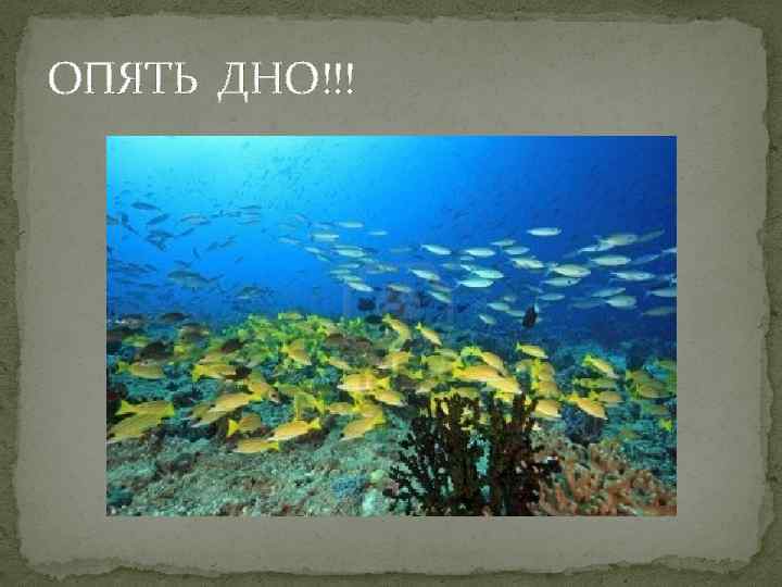 ОПЯТЬ ДНО!!! 