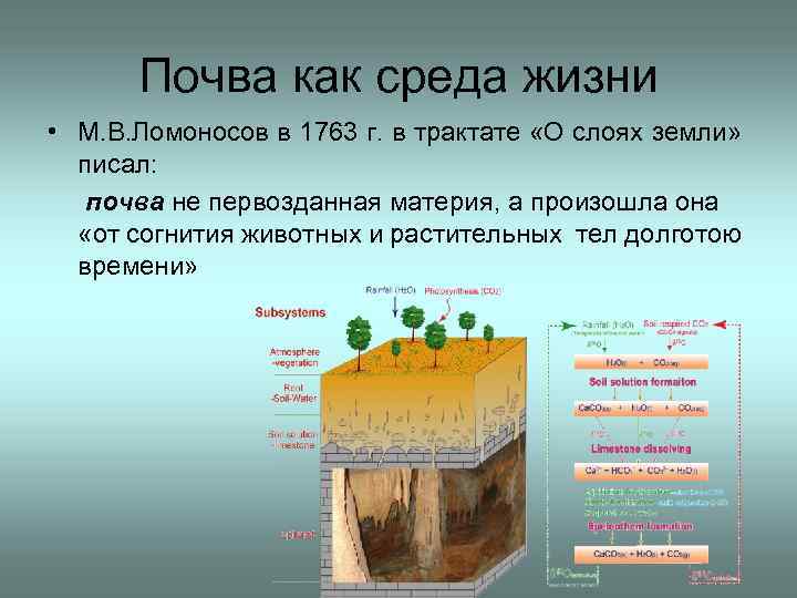 Почва как среда жизни • М. В. Ломоносов в 1763 г. в трактате «О