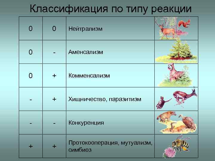 Классификация по типу реакции 0 0 Нейтрализм 0 - Аменсализм 0 + Комменсализм -