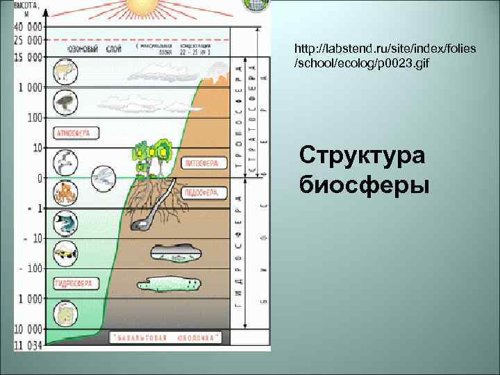 Задание биосфера