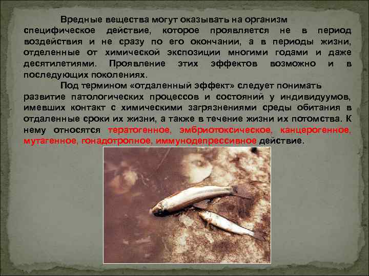 Вредные вещества могут оказывать на организм специфическое действие, которое проявляется не в период воздействия
