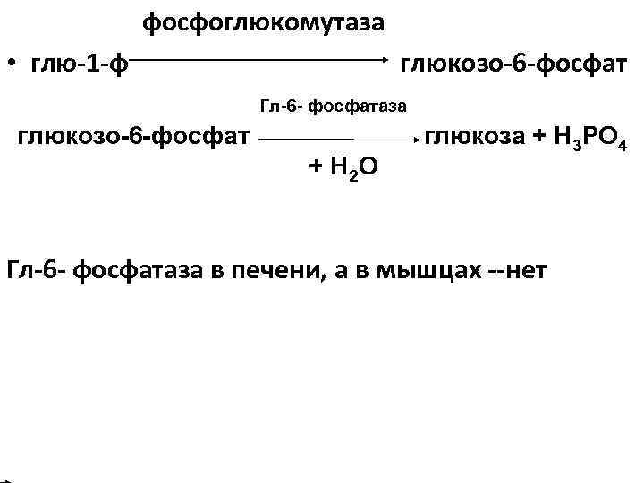 фосфоглюкомутаза • глю-1 -ф глюкозо-6 -фосфат Гл-6 - фосфатаза глюкозо-6 -фосфат + Н 2