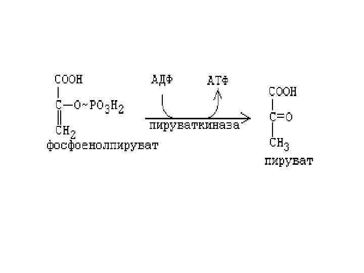 Реакция образования пировиноградной кислоты. Превращение ПВК В фосфоенолпируват. Образование фосфоенолпирувата из пирувата. Пируват формула биохимия структурная. Фермент, катализирующий превращение пирувата в оксалоацетат..