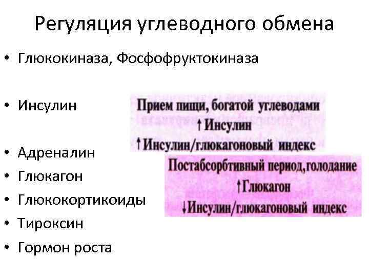 Регуляция углеводного обмена • Глюкокиназа, Фосфофруктокиназа • Инсулин • • • Адреналин Глюкагон Глюкокортикоиды