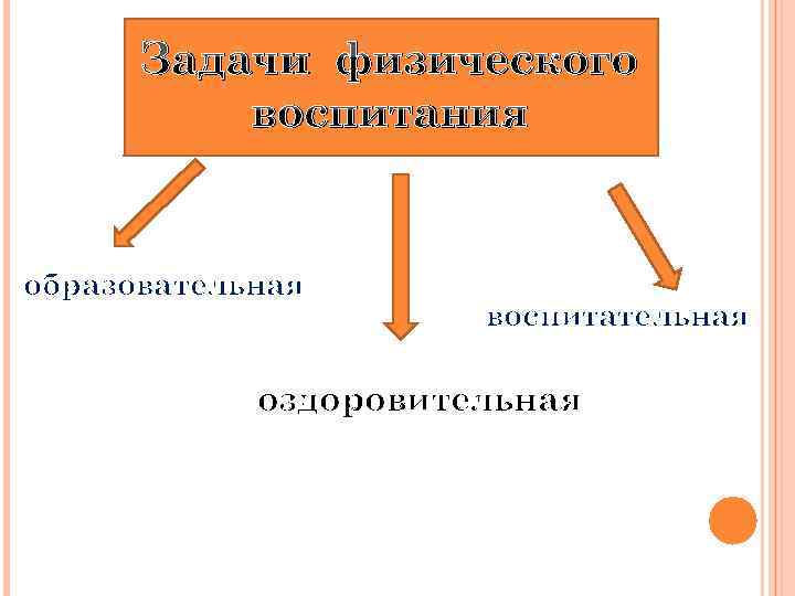 Задачи физического воспитания образовательная воспитательная оздоровительная 
