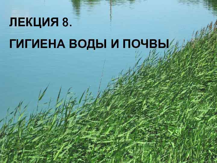 ЛЕКЦИЯ 8. ГИГИЕНА ВОДЫ И ПОЧВЫ Автор: Ж. В. Гудинова 1 