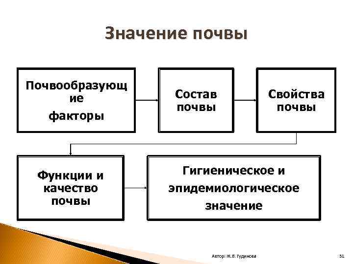 Значение почвы Почвообразующ ие факторы Функции и качество почвы Состав почвы Свойства почвы Гигиеническое