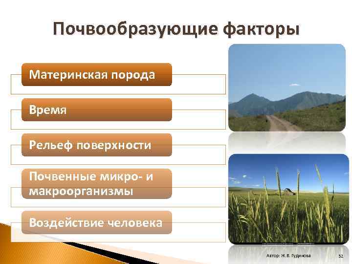 Влияние породы. Почвообразующие (Материнские) породы. Почвообразующие факторы материнская порода. Почвы с почвообразующими породами. Перечислите почвообразующие факторы.