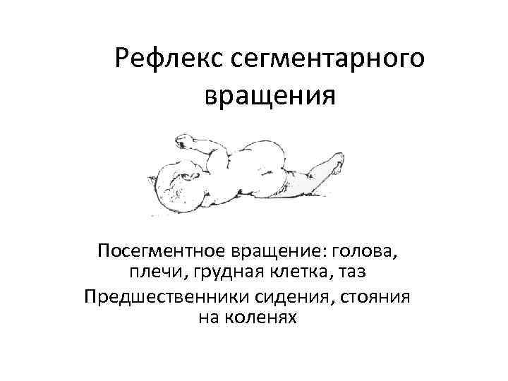 Рефлекс сегментарного вращения Посегментное вращение: голова, плечи, грудная клетка, таз Предшественники сидения, стояния на