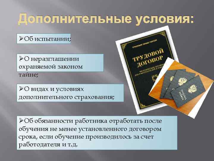 Дополнительные условия: ØОб испытании; ØО неразглашении охраняемой законом тайне; ØО видах и условиях дополнительного