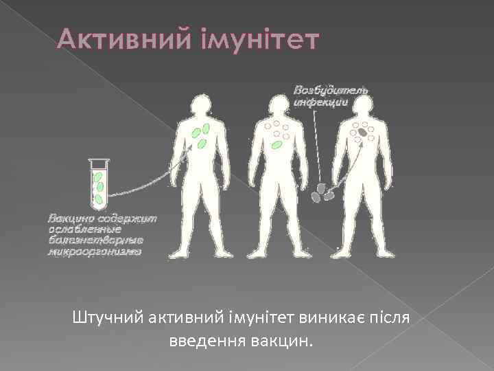 Активний імунітет Штучний активний імунітет виникає після введення вакцин. 