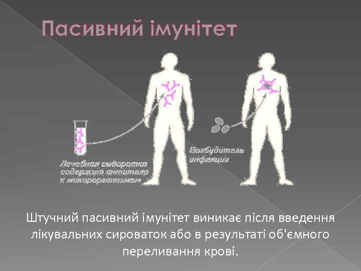 Пасивний імунітет Штучний пасивний імунітет виникає після введення лікувальних сироваток або в результаті об'ємного