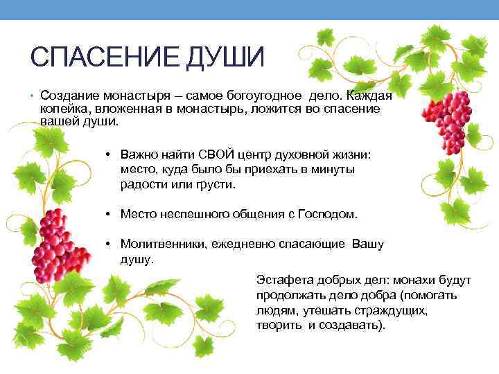 СПАСЕНИЕ ДУШИ • Создание монастыря – самое богоугодное дело. Каждая копейка, вложенная в монастырь,