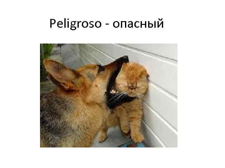 Peligroso - опасный 