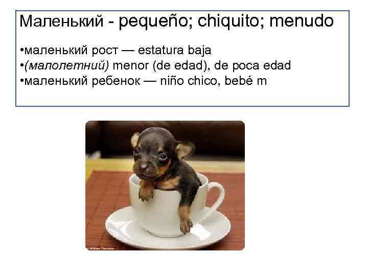 Маленький - pequeño; chiquito; menudo • маленький рост — estatura baja • (малолетний) menor