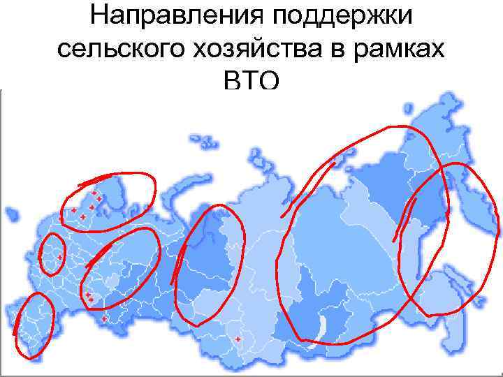 Направления поддержки сельского хозяйства в рамках ВТО 