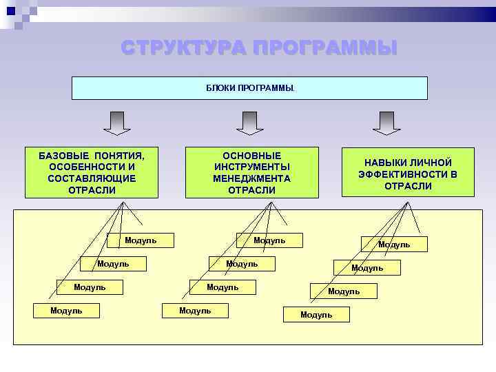 СТРУКТУРА ПРОГРАММЫ БЛОКИ ПРОГРАММЫ БАЗОВЫЕ ПОНЯТИЯ, ОСОБЕННОСТИ И СОСТАВЛЯЮЩИЕ ОТРАСЛИ ОСНОВНЫЕ ИНСТРУМЕНТЫ МЕНЕДЖМЕНТА ОТРАСЛИ