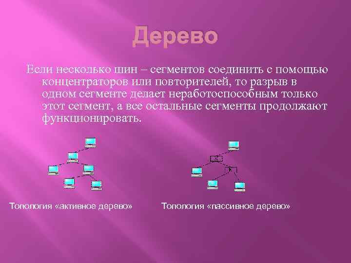 Дерево Если несколько шин – сегментов соединить с помощью концентраторов или повторителей, то разрыв