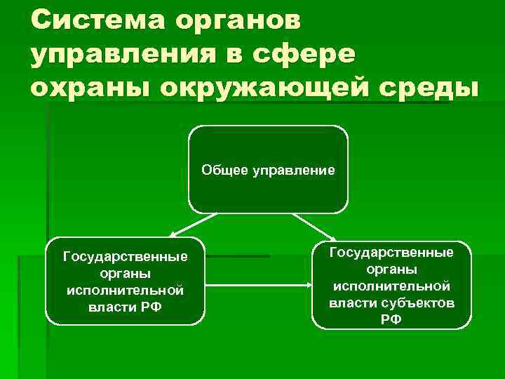 Система органов управления в сфере охраны окружающей среды Общее управление Государственные органы исполнительной власти