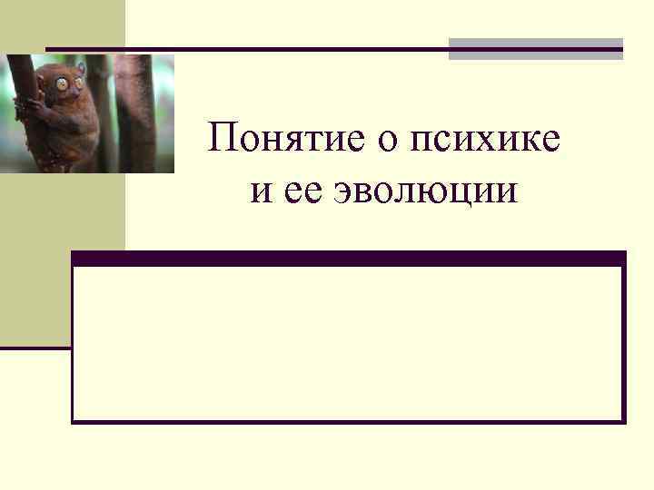 Понятие о психике и ее эволюции 