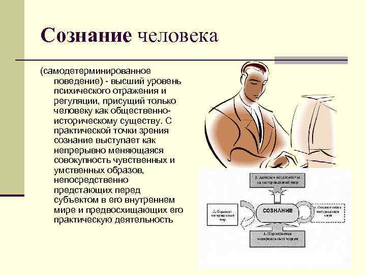 Сознание человека (самодетерминированное поведение) высший уровень психического отражения и регуляции, присущий только человеку как