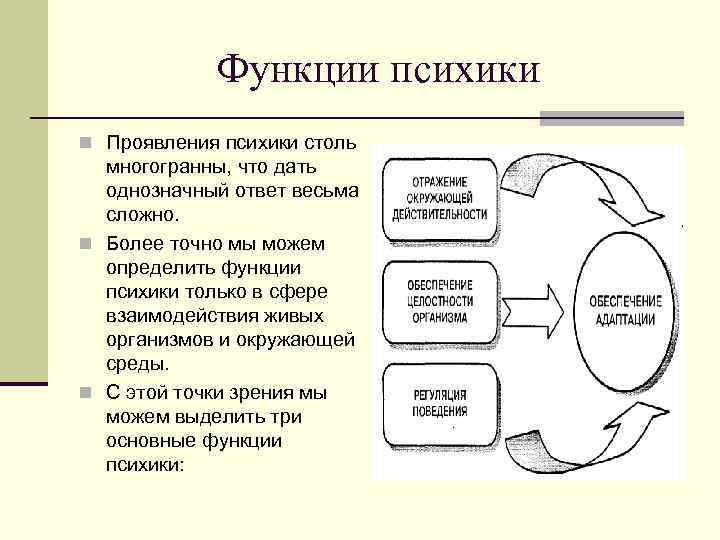 Функции психики n Проявления психики столь многогранны, что дать однозначный ответ весьма сложно. n