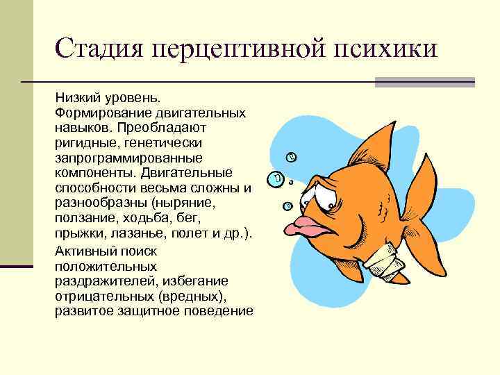 Стадия перцептивной психики Низкий уровень. Формирование двигательных навыков. Преобладают ригидные, генетически запрограммированные компоненты. Двигательные
