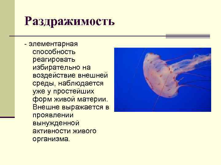 Раздражимость элементарная способность реагировать избирательно на воздействие внешней среды, наблюдается уже у простейших форм