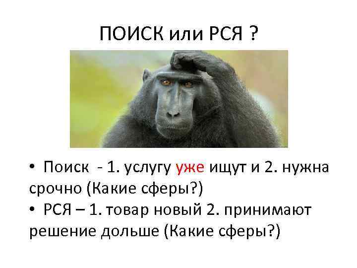 ПОИСК или РСЯ ? • Поиск - 1. услугу уже ищут и 2. нужна