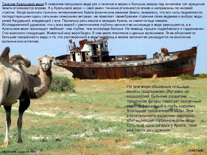 Течение Аральского моря В северном полушарии вода рек и течения в морях и больших