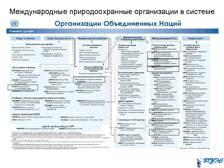 Международные природоохранные организации в системе 