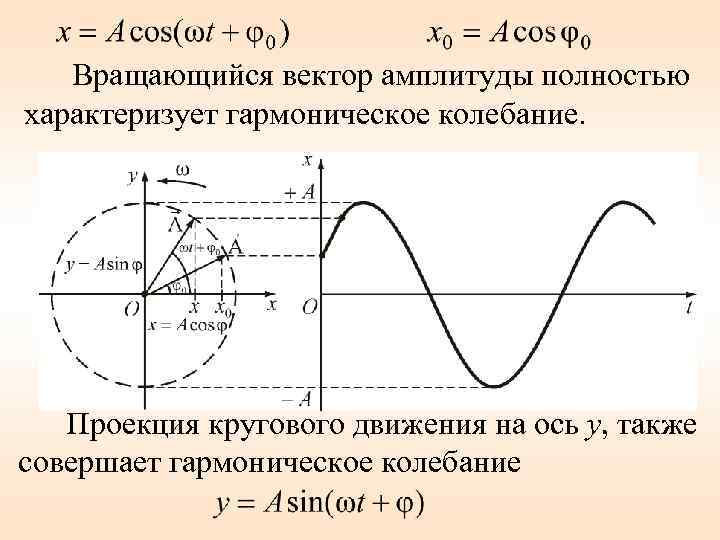  Вращающийся вектор амплитуды полностью характеризует гармоническое колебание. Проекция кругового движения на ось у,