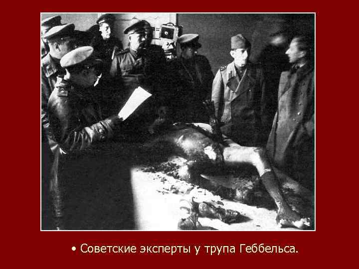  • Советские эксперты у трупа Геббельса. 