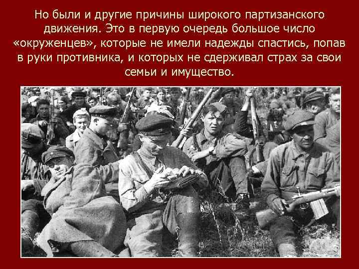 Но были и другие причины широкого партизанского движения. Это в первую очередь большое число